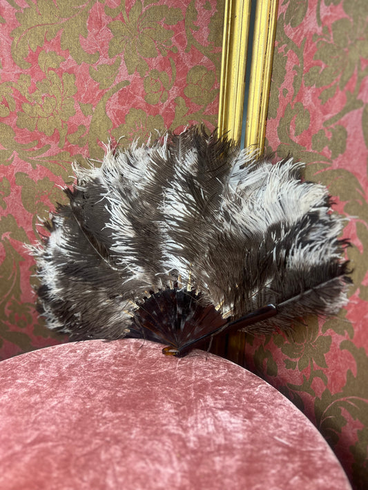 Edwardian Ostrich Feather Fan