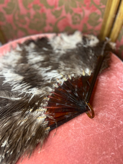 Edwardian Ostrich Feather Fan