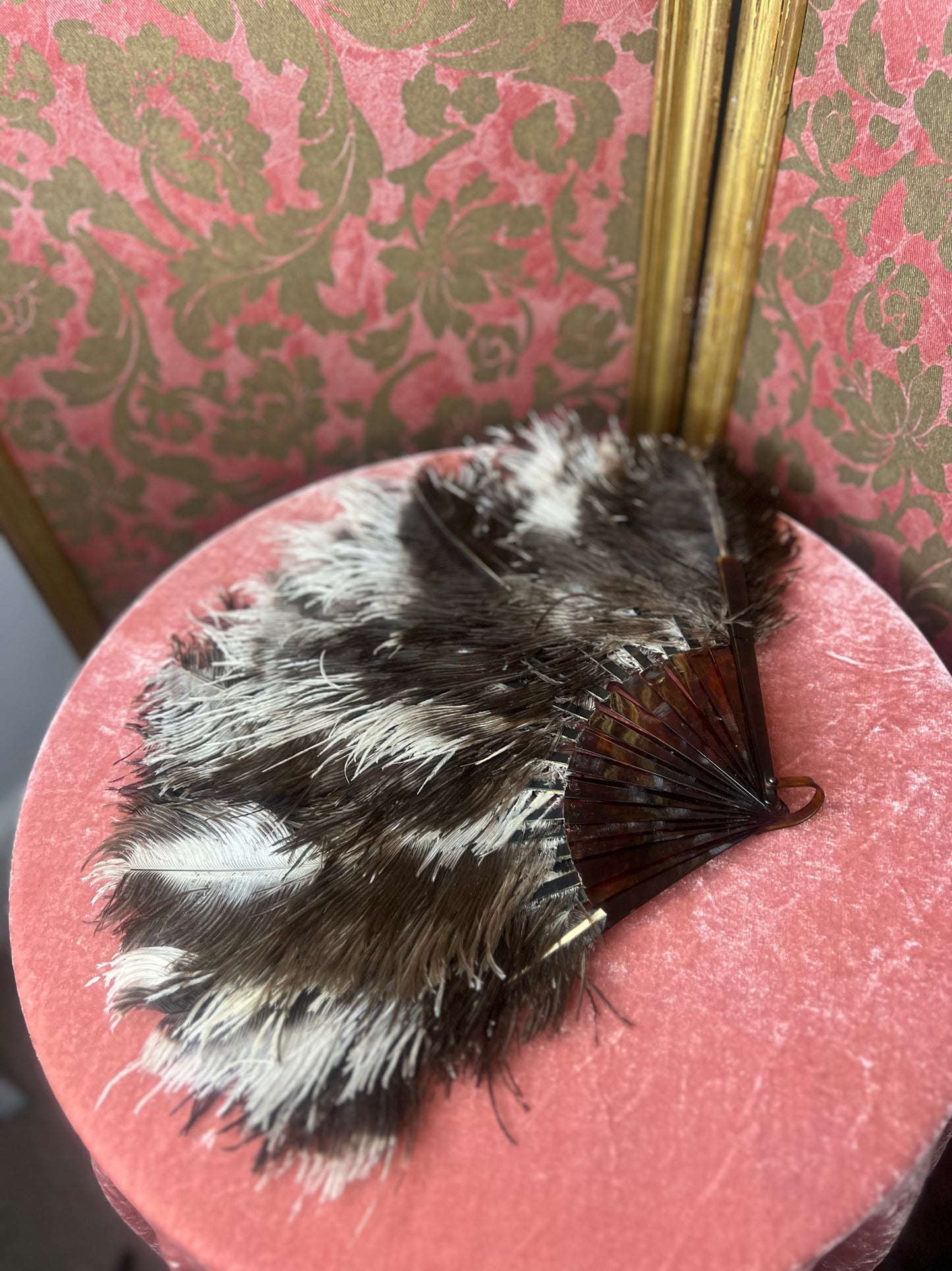 Edwardian Ostrich Feather Fan